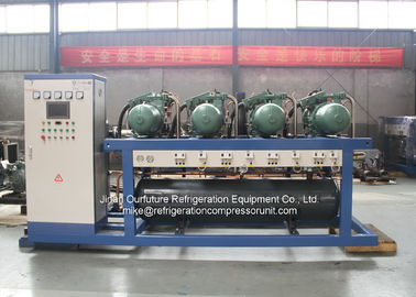 Chuỗi máy nén khí phòng lạnh logistic 80hp - 600HP cho máy làm đá